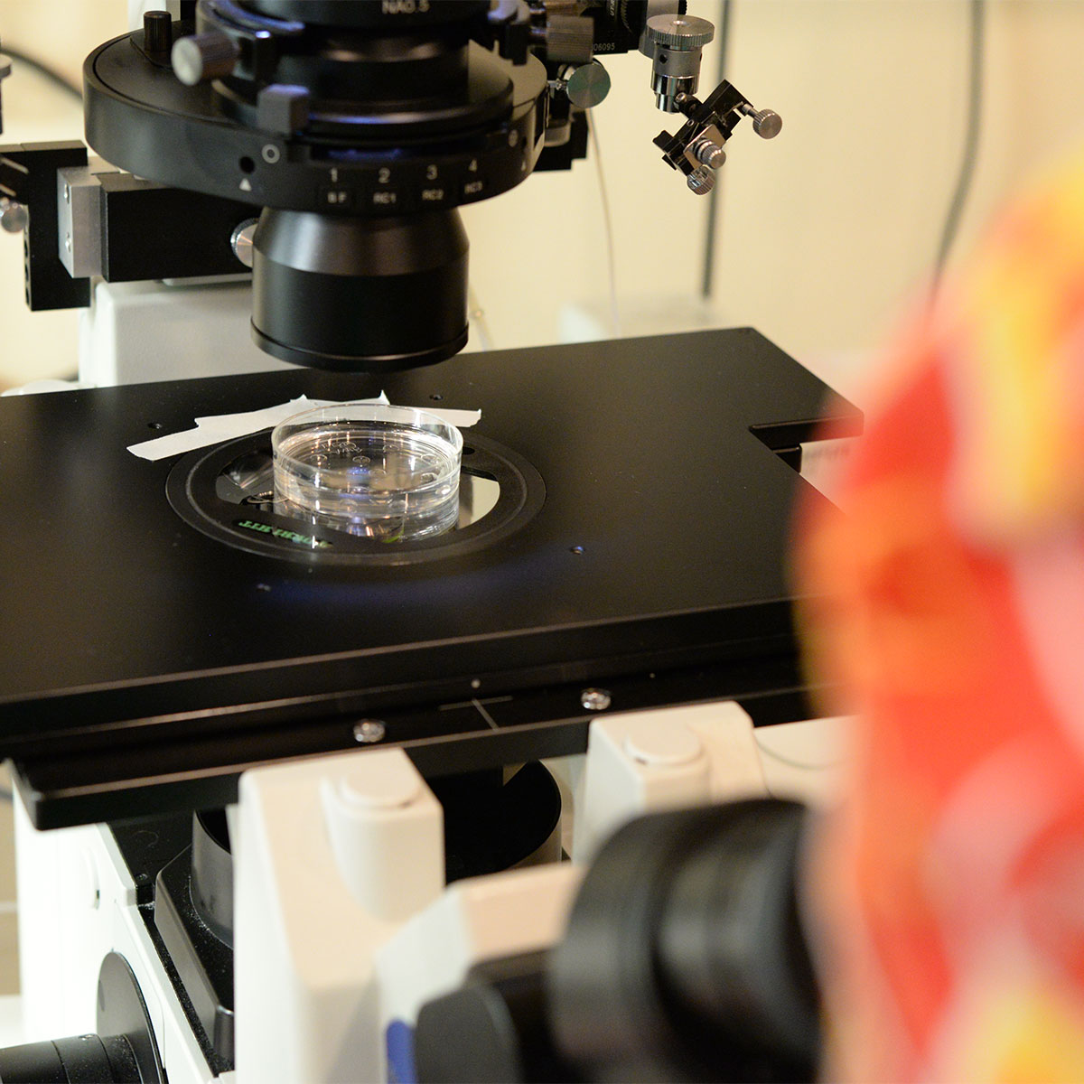 Ovation Fertility Acquires Texas Fertility Center San Antonio Lab